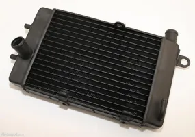 BRAZOLINE Radiateur Eau Droit Adaptable APRILIA Tuono 1000 02/05 